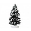 EVERGREEN TREE, MEDIUM