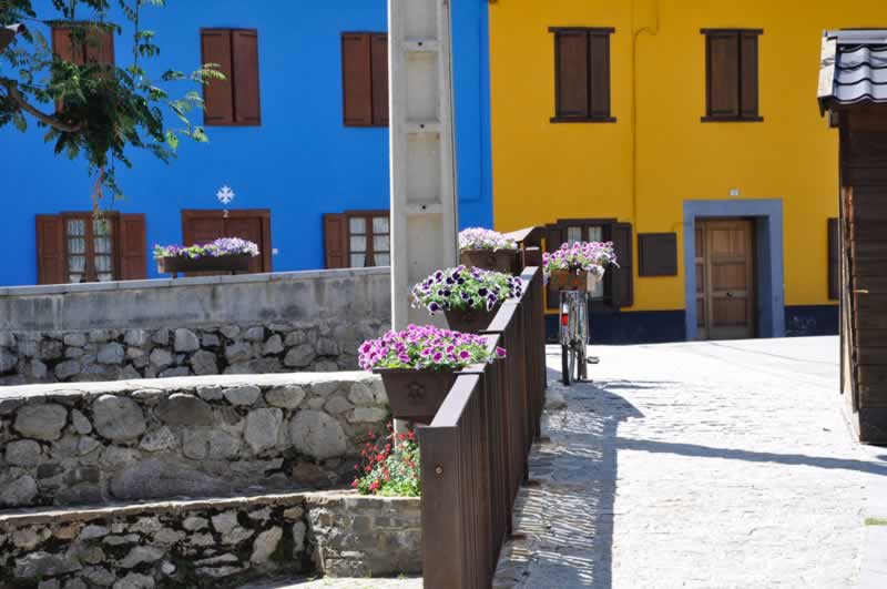 amarillo-verano-val-daran-albina-bosch-06