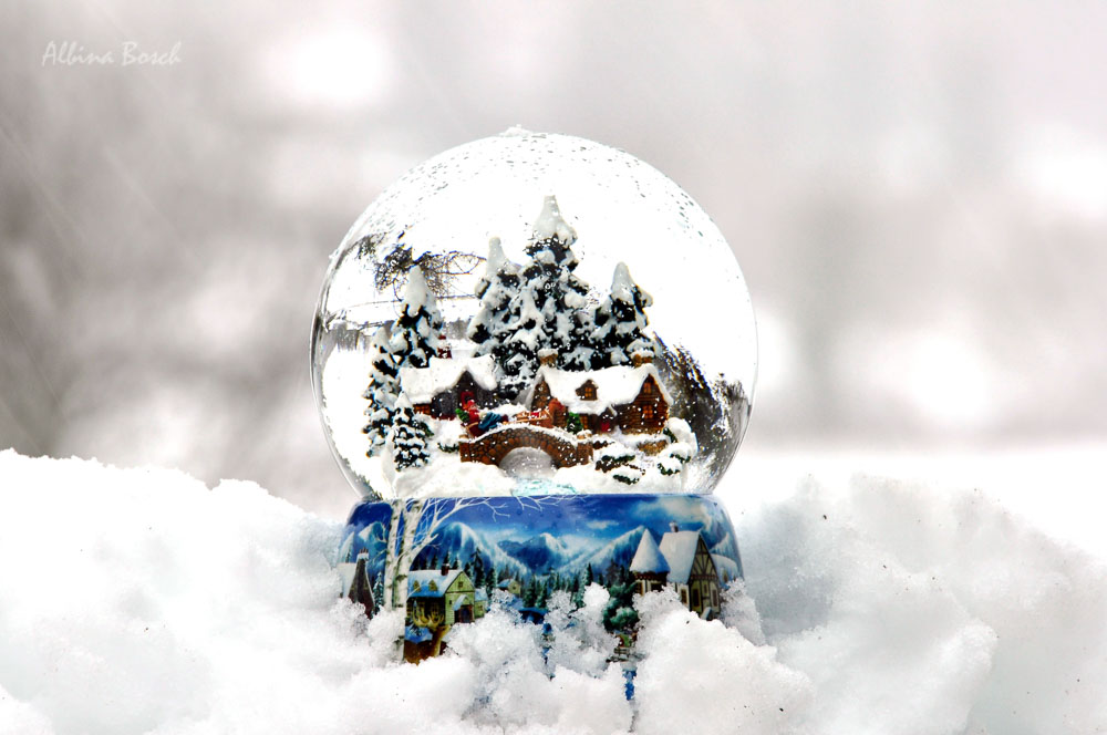 Bola de nieve con foto - Ideal para regalo - i Moments