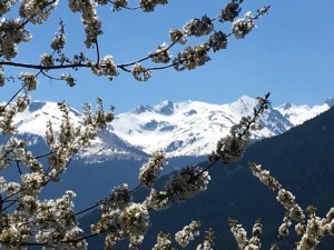 Bienvenida la primavera Val d'Aran